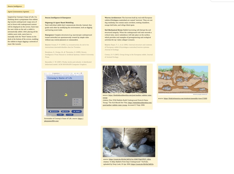 This file is a screenshot of my workspace on Figma. It's mainly about my research.