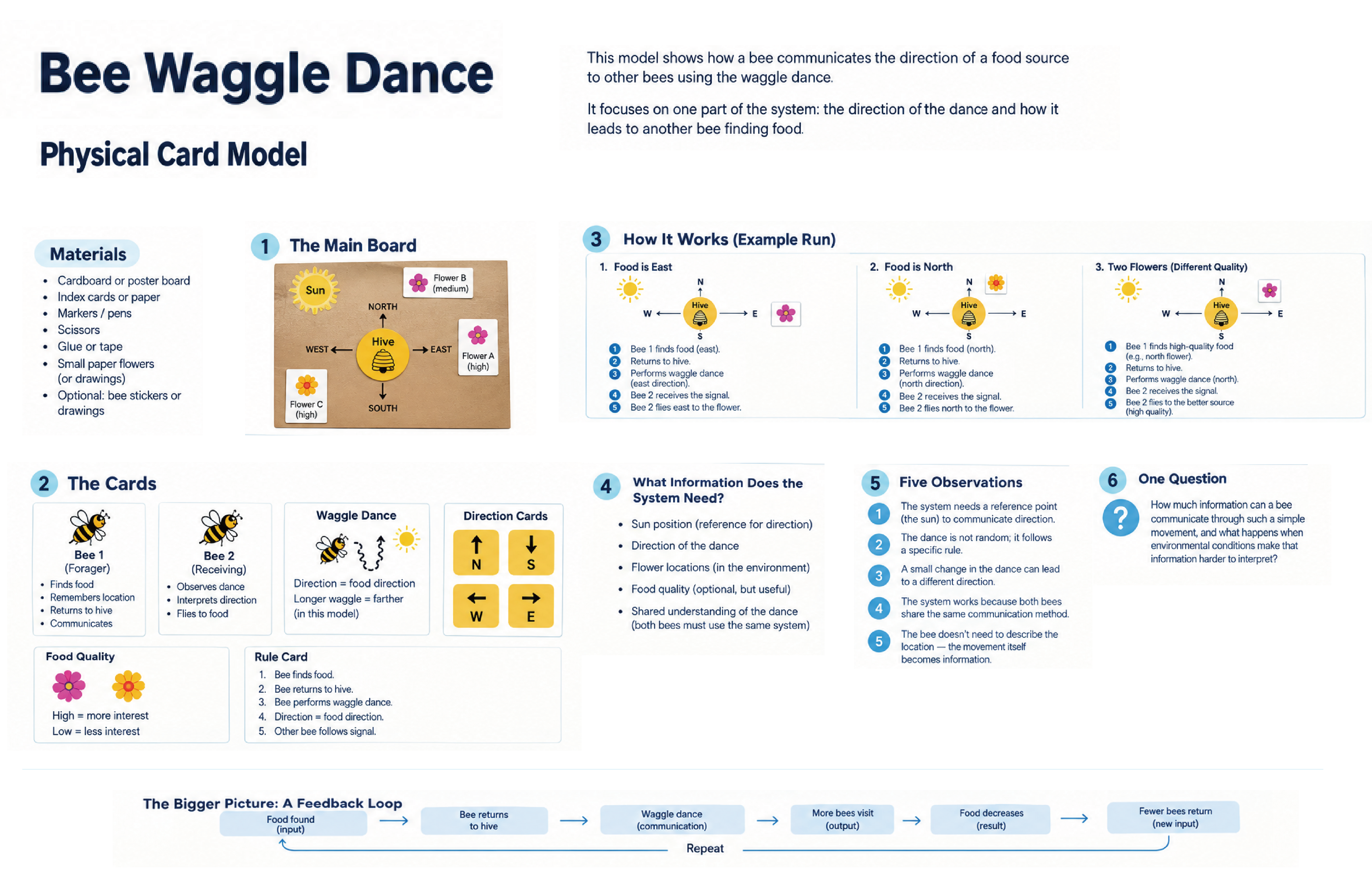My physical card model shows how one bee finds food, returns to the hive, communicates the direction, and helps another bee find the same food source. It also shows how this simple process can create a larger feedback loop within the colony.