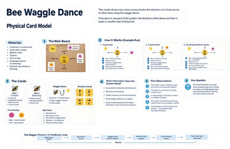 My physical card model shows how one bee finds food, returns to the hive, communicates the direction, and helps another bee find the same food source. It also shows how this simple process can create a larger feedback loop within the colony.